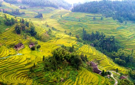 中青旅山水酒店新化上梅古城店，抓住旅游“黃金期”實現經營穩增長！